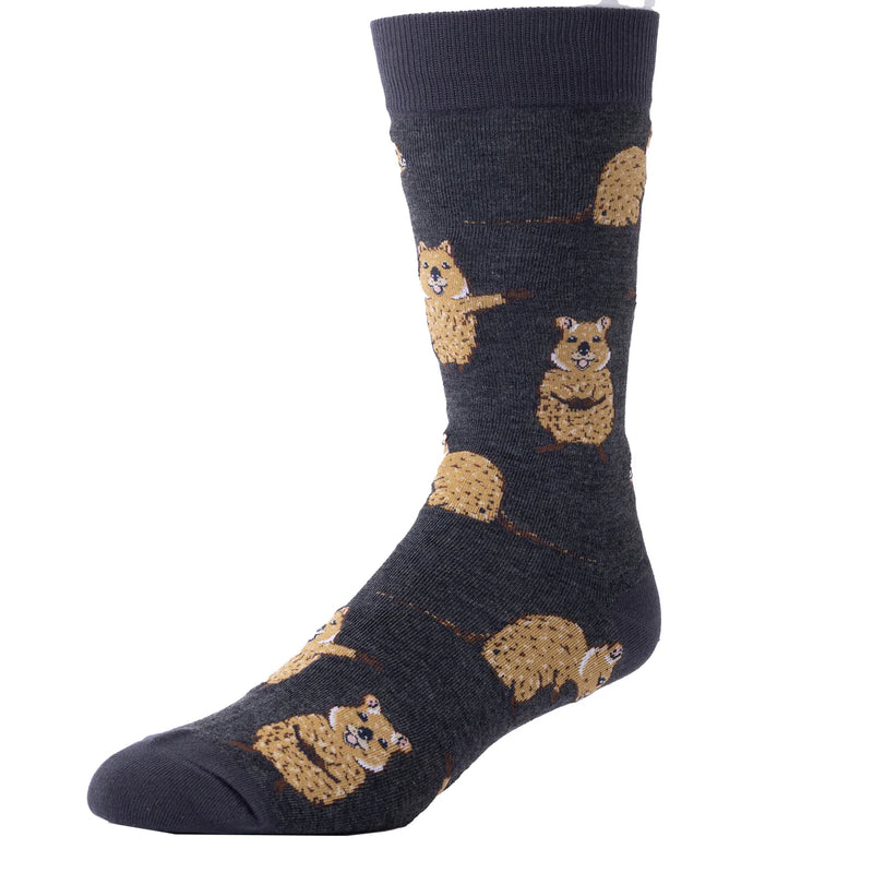 Spencer Flynn Quokka Socks