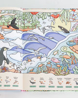 Australian Animals From Beach to Bush book
