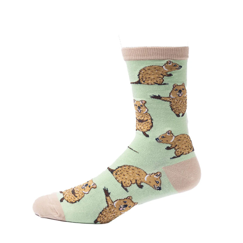 Spencer Flynn Quokka Socks