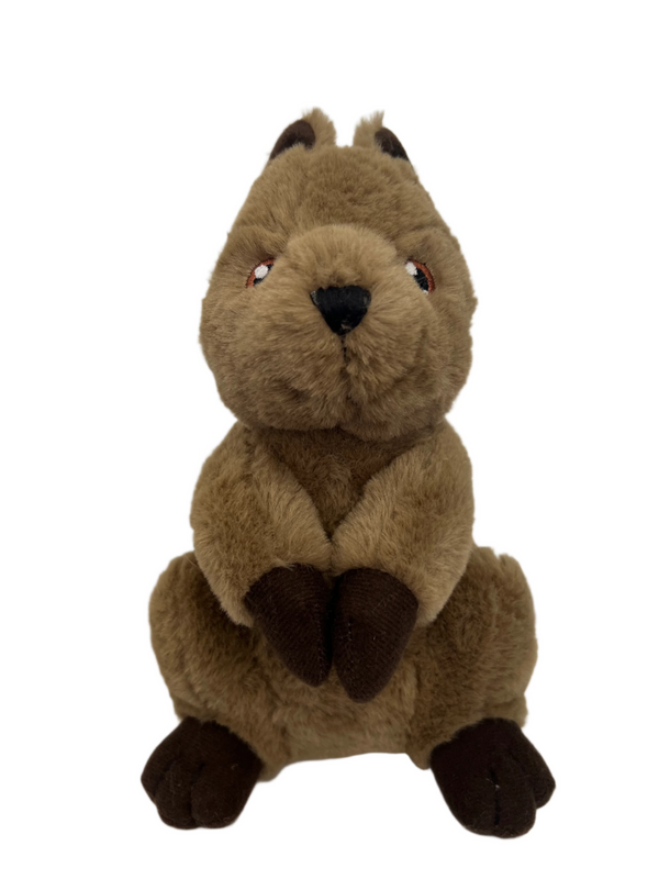 Eco Quokka Plush