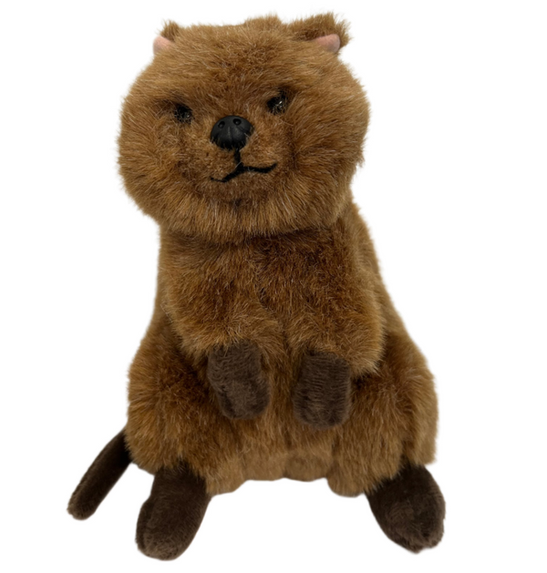Dinki Di Quokka Plush Large