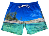 Men's Basin Boardies