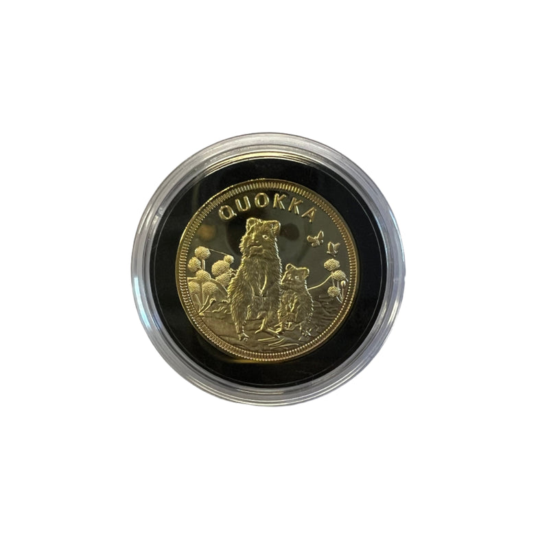 Souvenir Coin