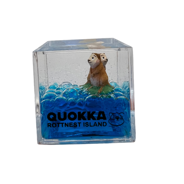 Rottnest Island Water Cube