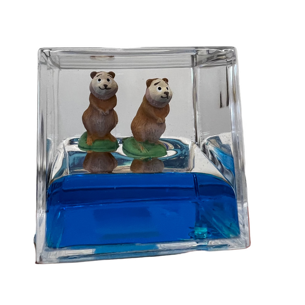Rottnest Island Water Cube