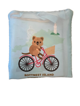 Reusable shopping bags